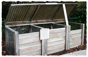Organic mulches such as compost build up the soil for Xeriscape gardening