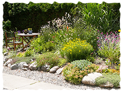 Xeriscape gardening can enhance the value of your home with an attractive and water conserving landscape.