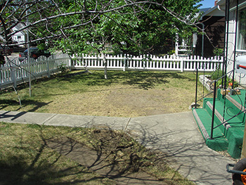 Before photo of a homeowners xeriscape garden project