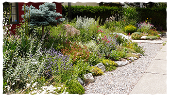 Planning and design is the first step to Xeriscape gardening
