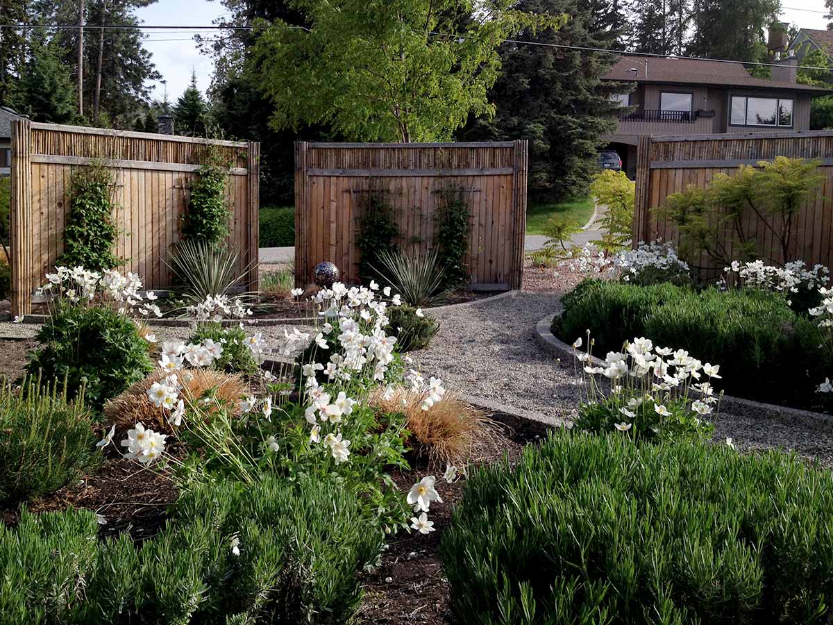 The Achenbach xeriscape garden in Kelowna BC