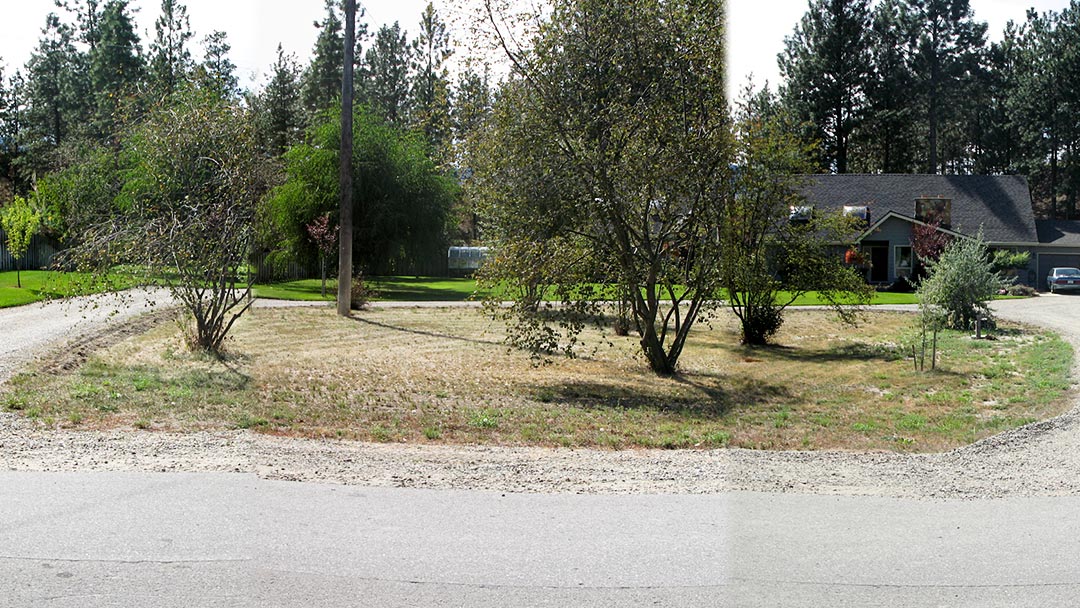  Cook garden before the xeriscape project