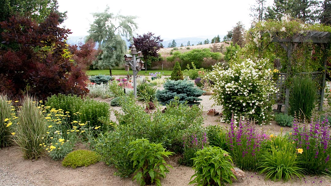 The Cook xeriscape garden in Kelowna BC