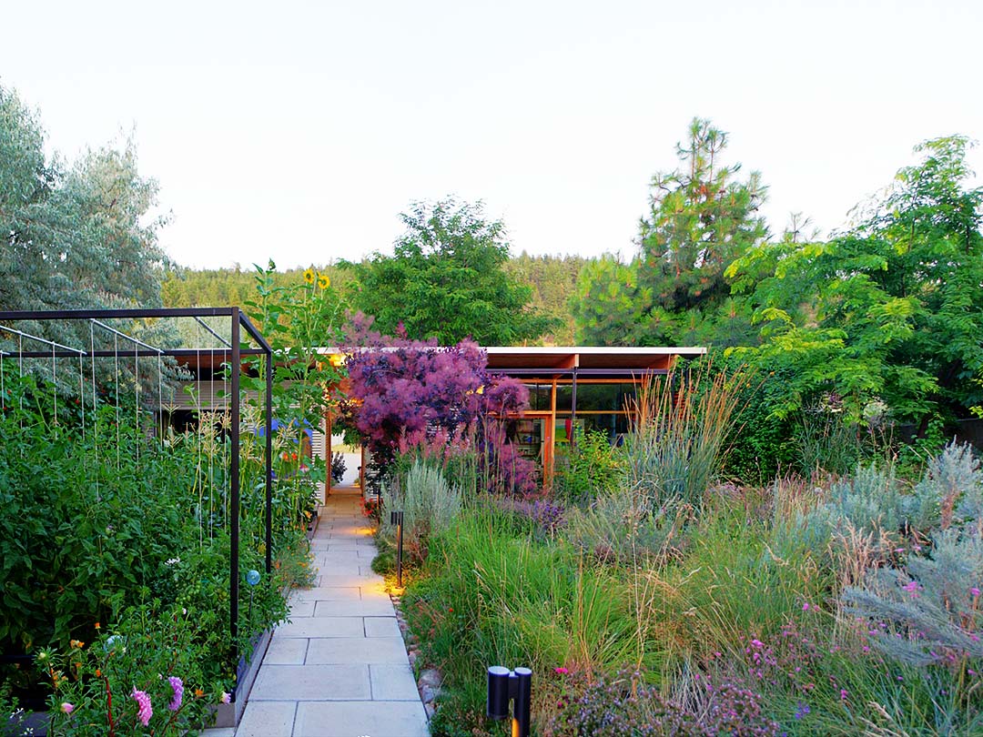 The Maurer xeriscape garden