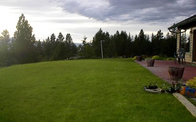 Kill that Lawn