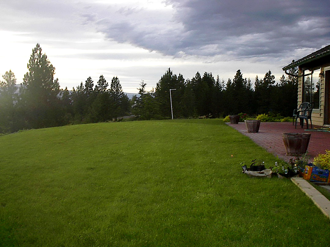 The Youngberg Garden large lawn area before xeriscape project