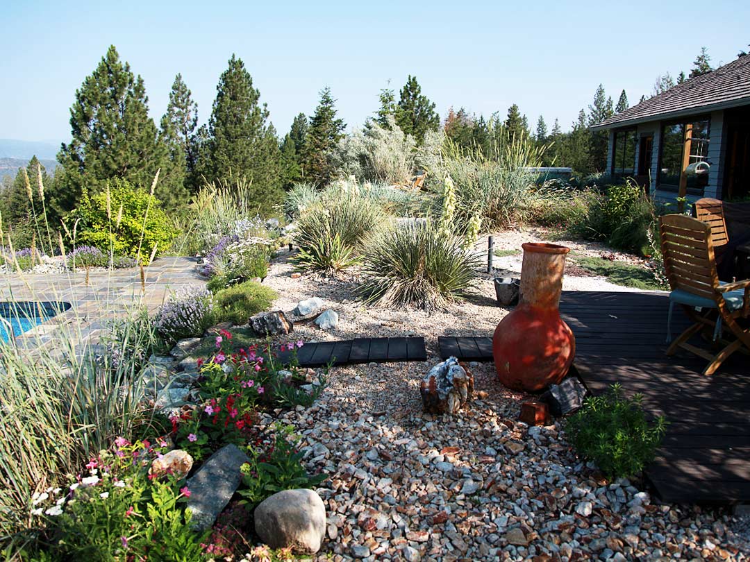 xeriscape shade garden