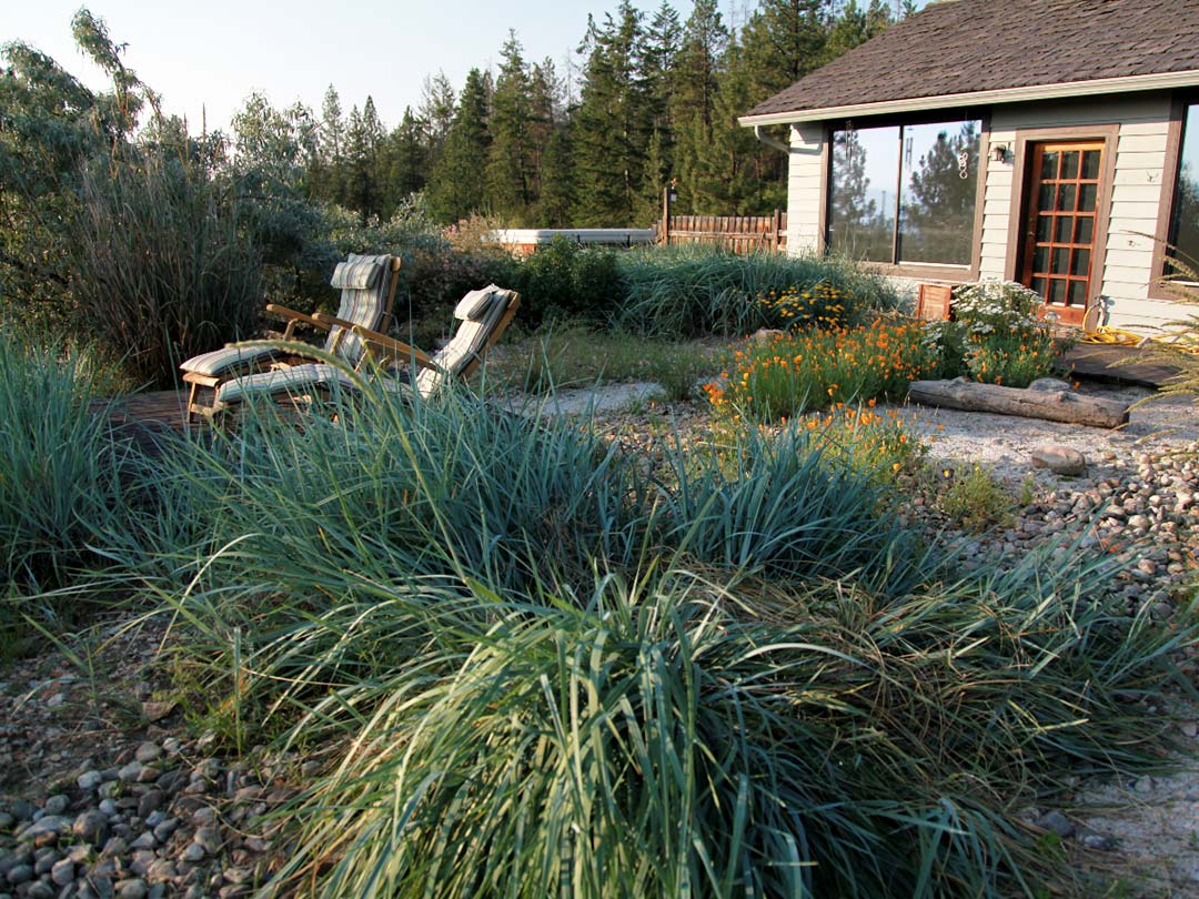 Youngberg Garden rustic xeriscape patio