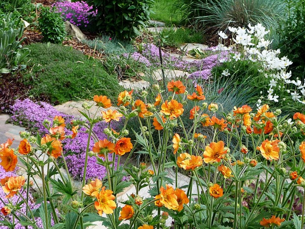 Xeriscape Gardening Classes with OXA Okanagan Xeriscape Association