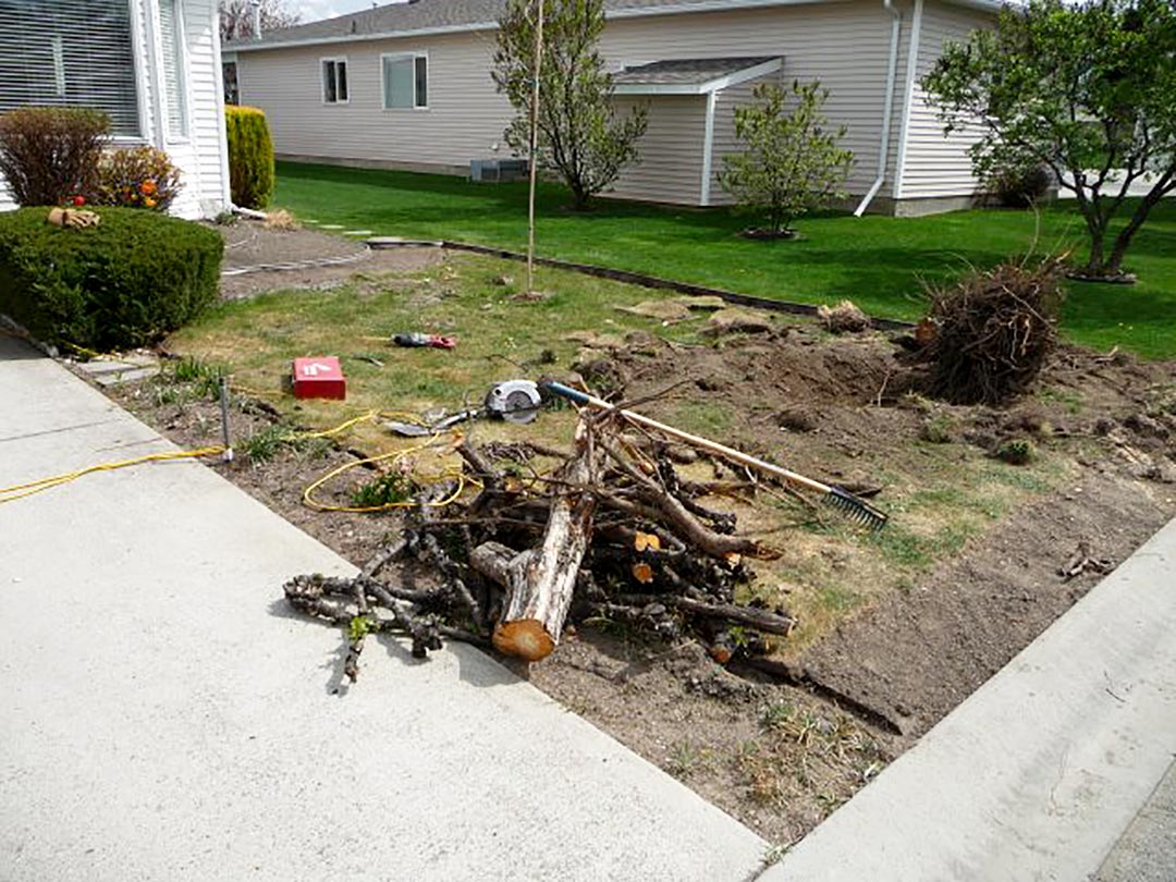 Tree removal for xeriscape project