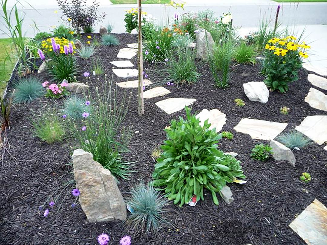 plant selection for xeriscape garden