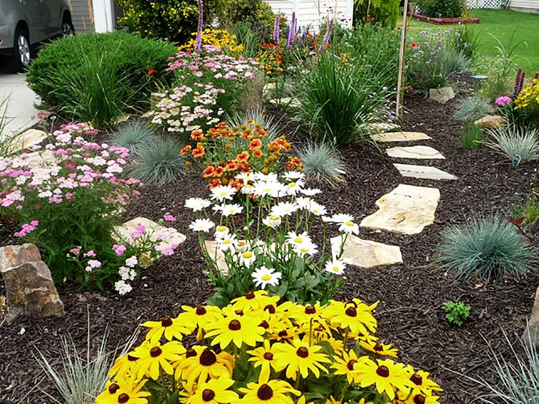 Organic mulch on xeriscape bed