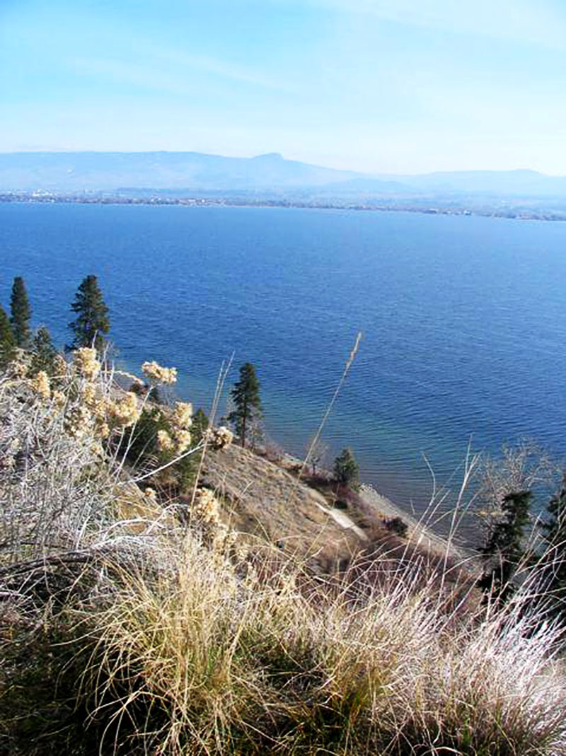 Kalamoir Park in the Okanagan