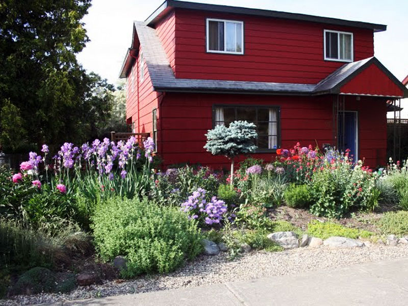 Saskia's xeriscape garden in Kelowna BC