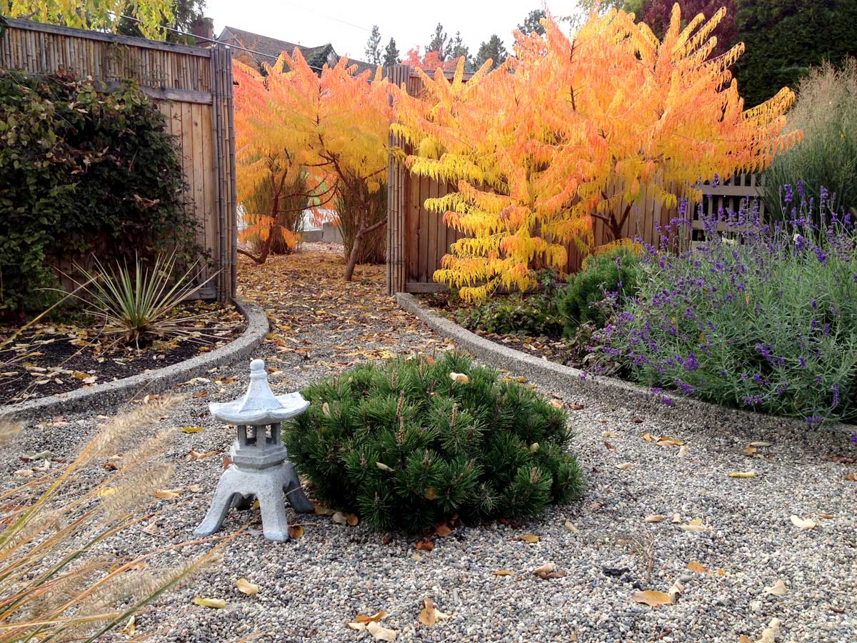 Achenbach Garden front garden 4 years later