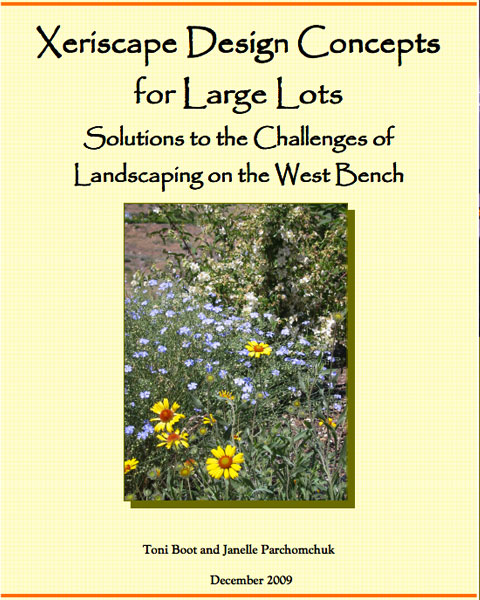 Xeriscape Design Concepts for Large Lots