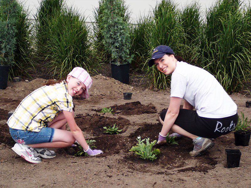 Saskia getting to work on her xeriscape project