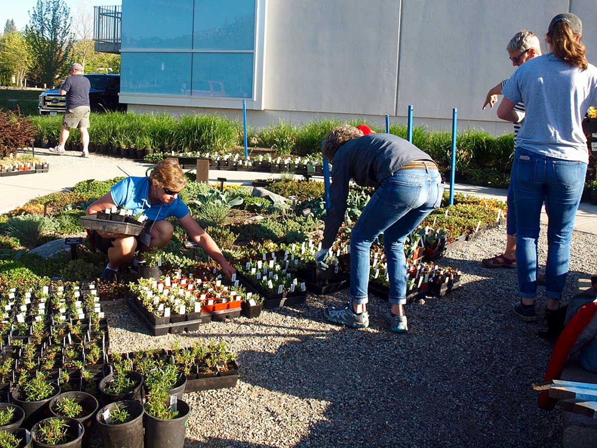 OXA volunteers helping at the annual Plant Sale