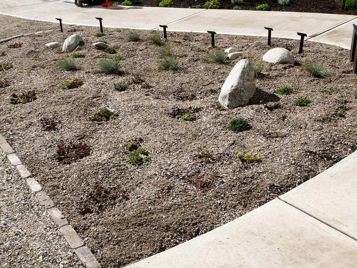 Waterwise Landscape Design xeriscape garden