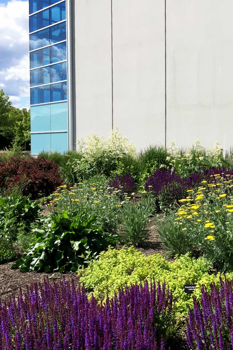 the UnH2O demonstration garden project by the OXA