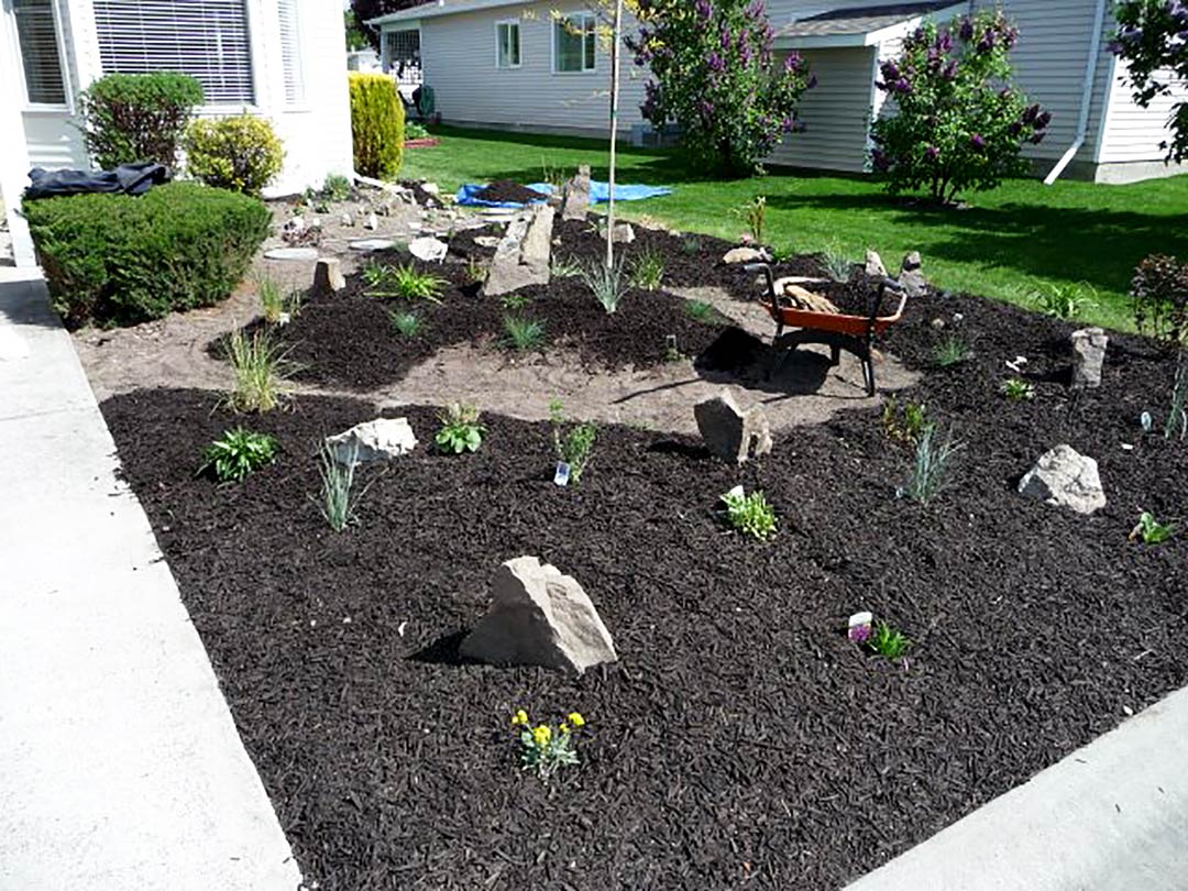 Spreading mulch through the  Goreski garden