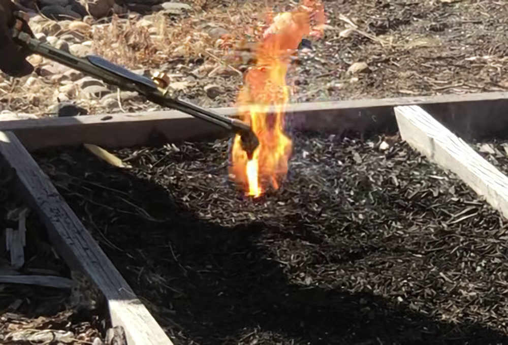 Igniting mulch with an acetylene torch