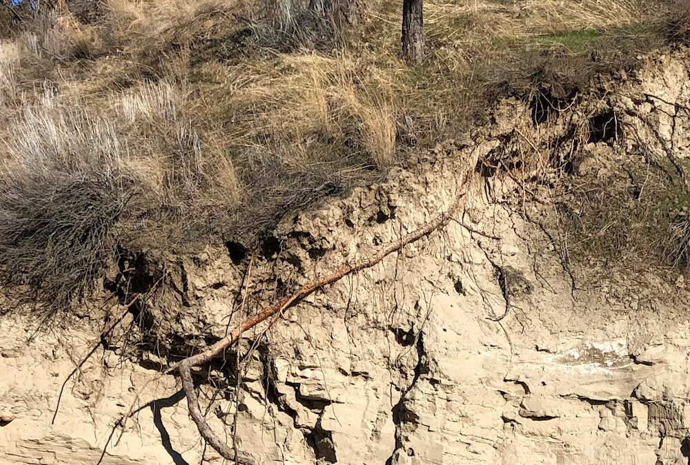 Soils of the Okanagan Part I