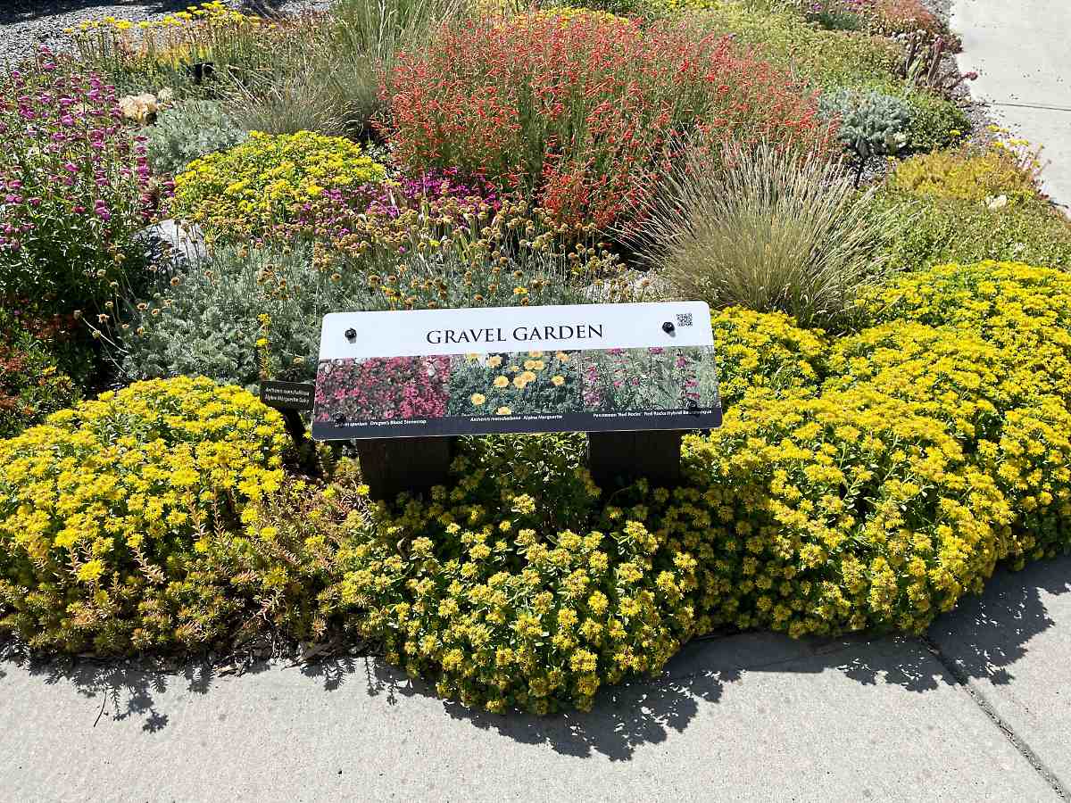 Gravel Garden in the UnH2O Demonstration xeriscape garden in Kelowna