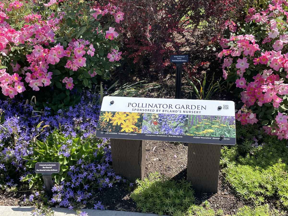 Pollinator Garden in the UnH2O Demonstration Garden in Kelowna