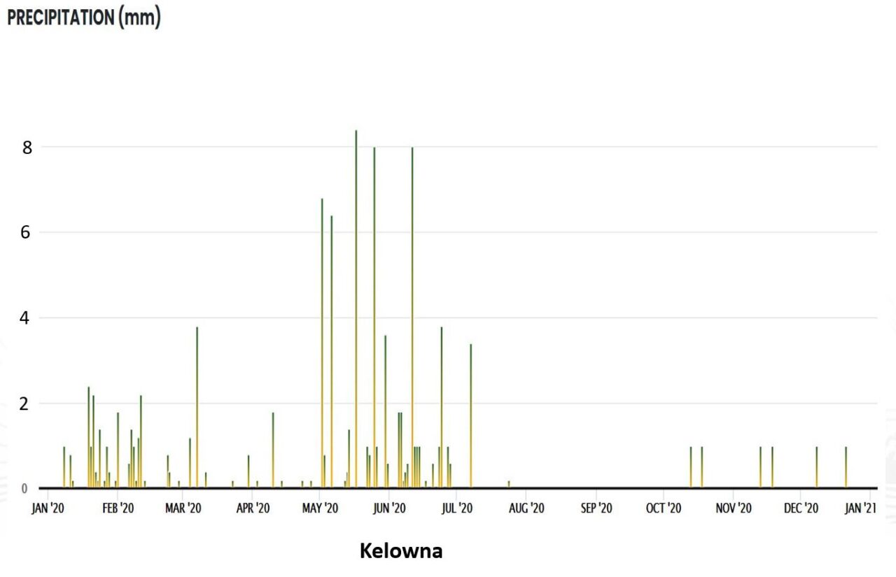 Drip Irrigation Maintenance Okanagan Xeriscape Association
