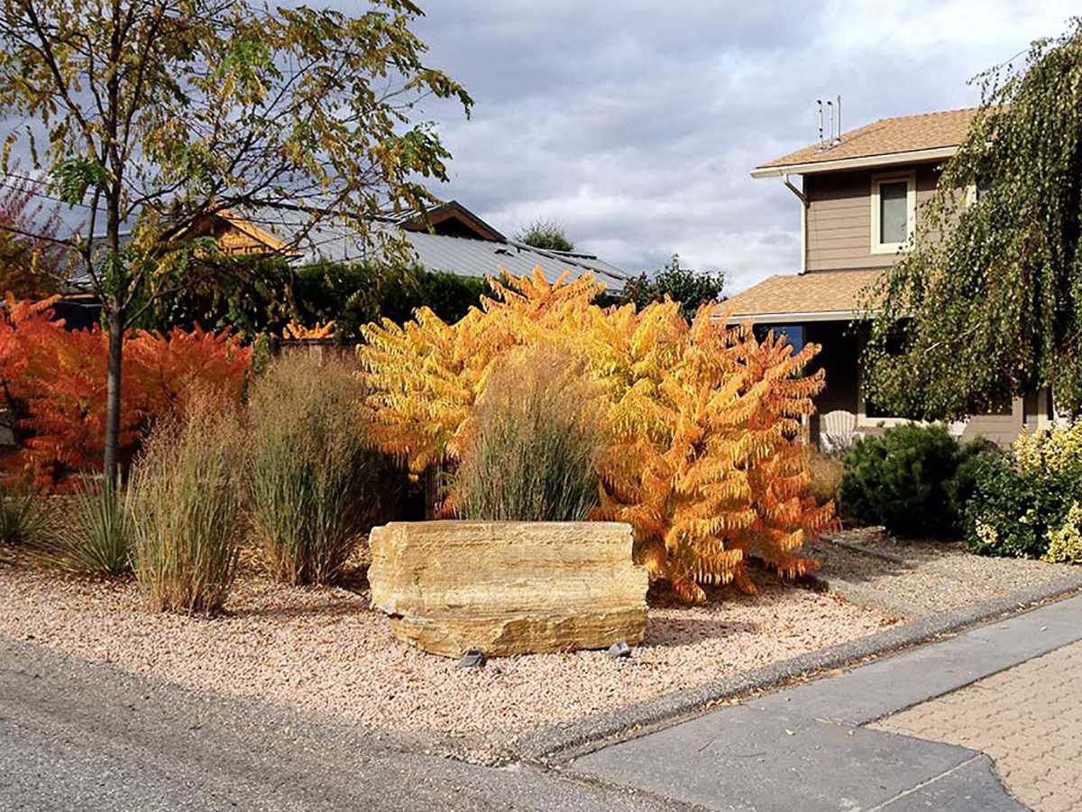 Achenbach street view 4 years later