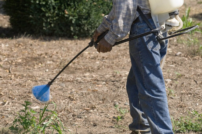 herbicide spray for lawn removal