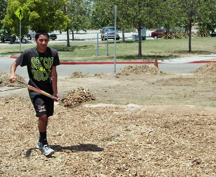 Lawn replacement- lasagna method adding mulch