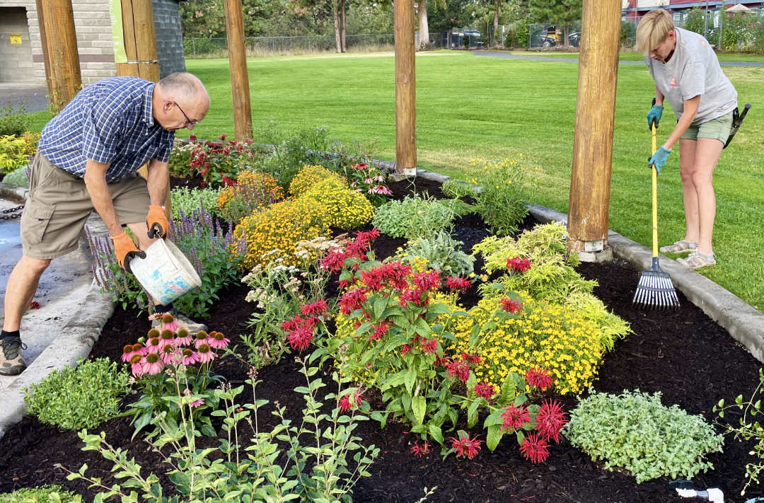 Adding mulch to a xeriscape garden bed