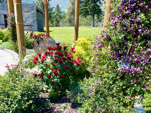 The Spirit Square demonstration garden project by the OXA one year later