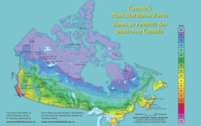 Plant Hardiness Zones for the Okanagan