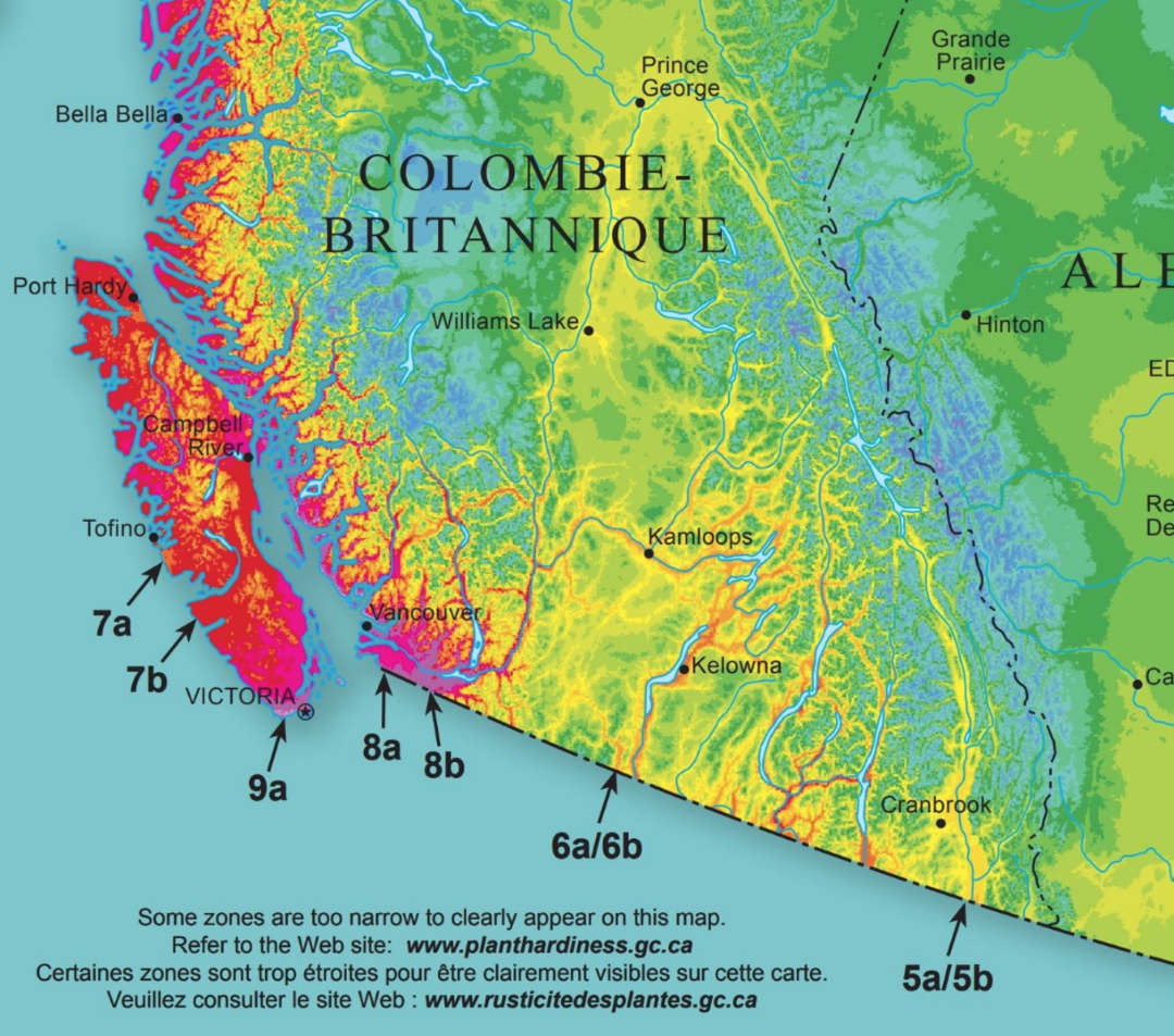 Plant Hardiness Zones for the Okanagan | Okanagan Xeriscape Association