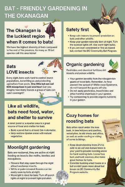 Bat-friendly Gardening in the Okanagan pamphlet cover