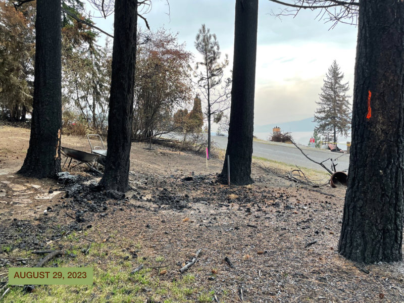 Judie and John's Garden after the wildfire