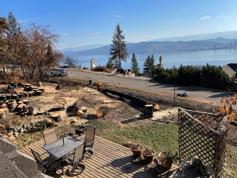 Stumps left from felling trees after the West Kelowna wildfire 2023