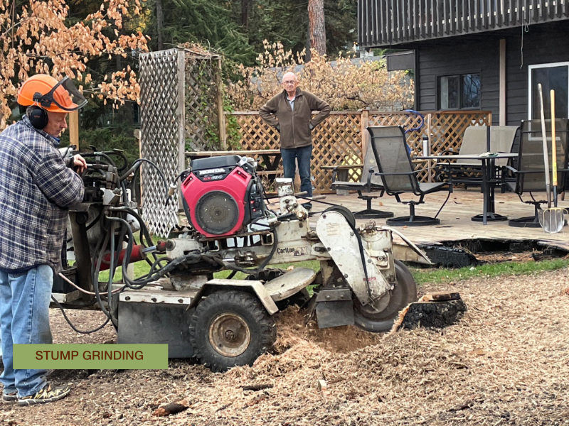 Judie and John's Garden after the wildfire