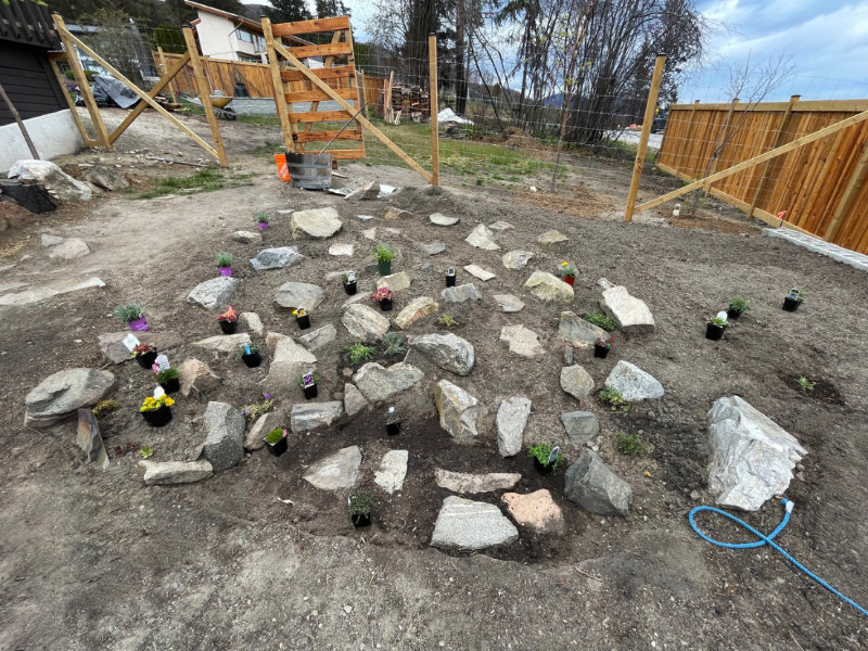 Placing plants in the rockery