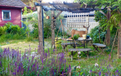 Deer-resistant Plants?