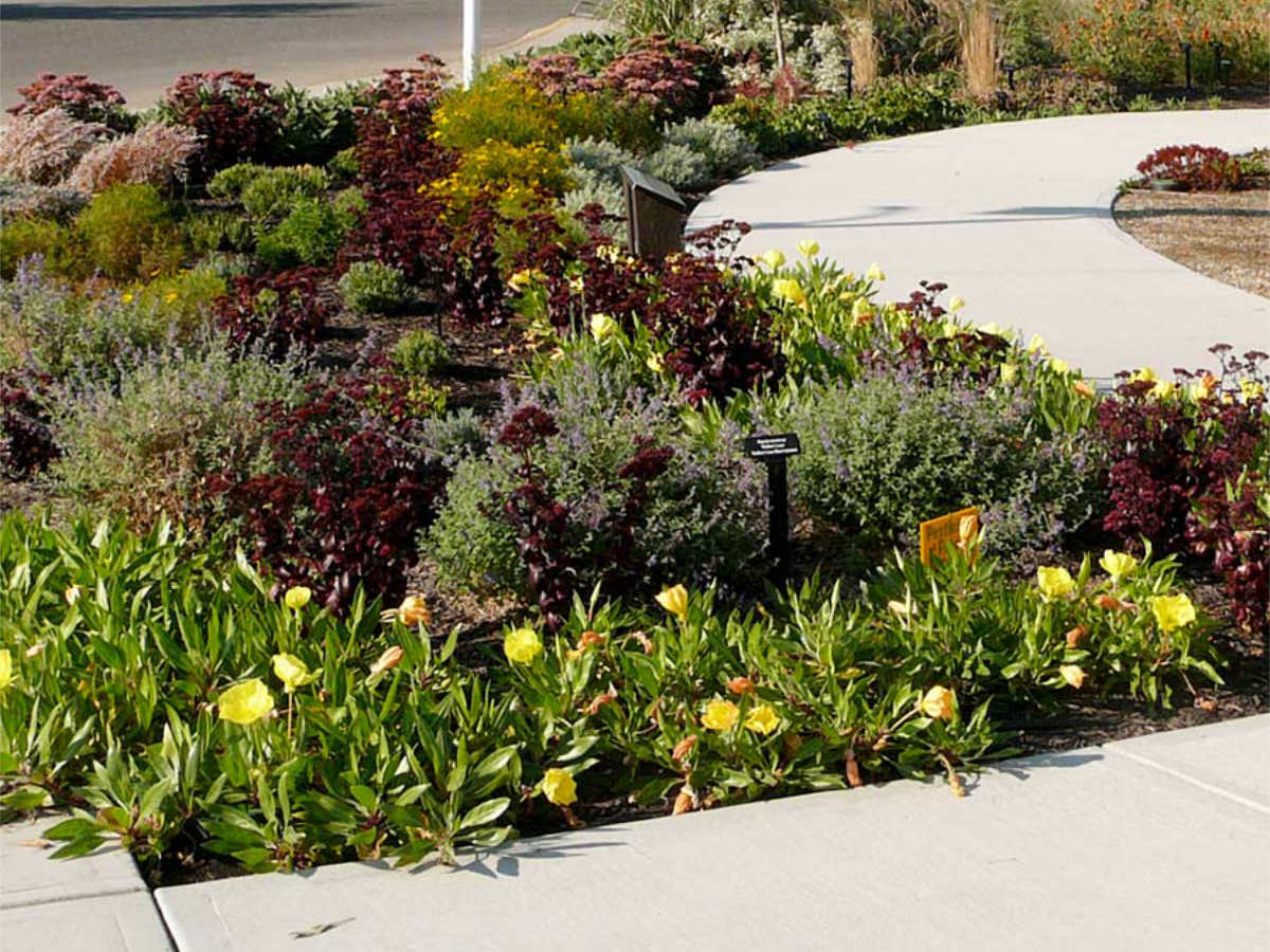 refresh-med-garrden Mediterranean Garden