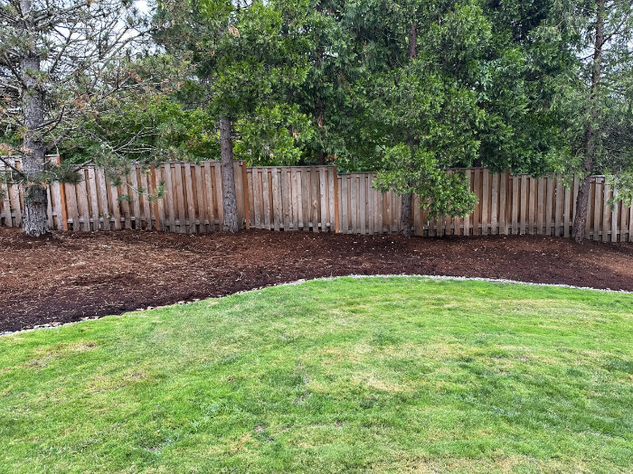 sheet-mulch-after Sheet mulching to kill lawn - completed