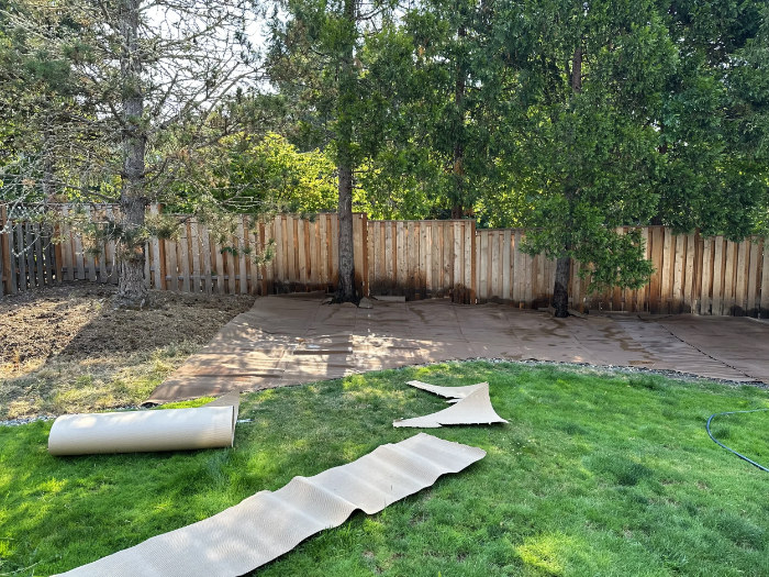 sheet-mulch-during Sheet mulching to kill lawn