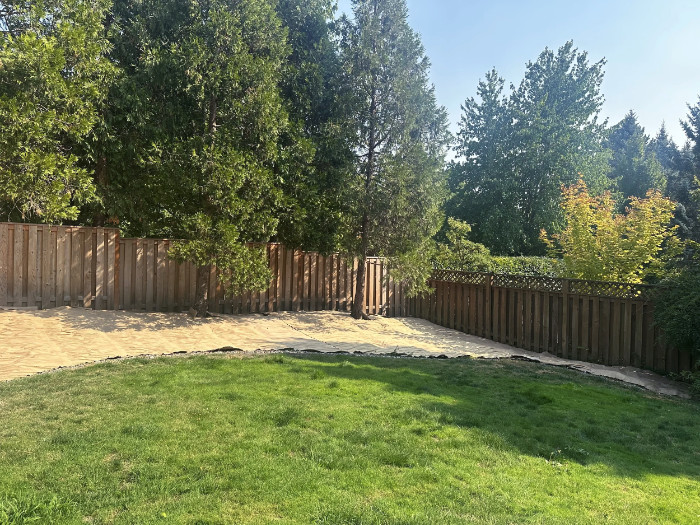 sheet-mulch Sheet mulching to kill lawn- cardboard complete