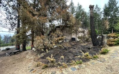 Fire-Smart Plant Choices