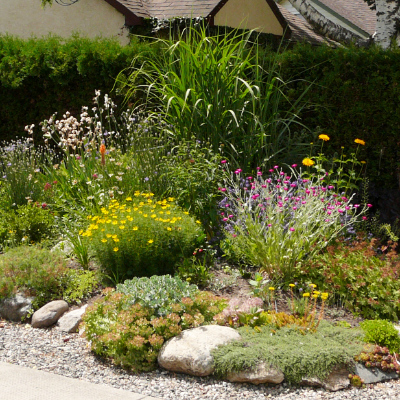 Choose xeriscape plants for the Okanagan climate