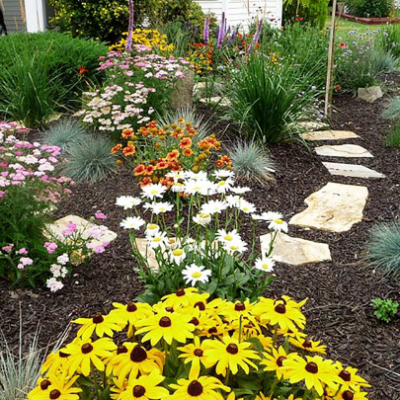 Organic mulch on xeriscape bed